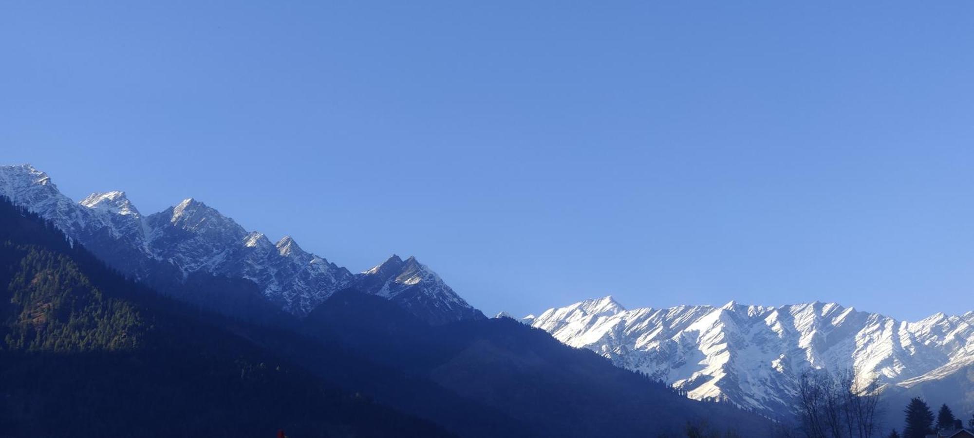 The Homstel Manali Hostel Exterior foto