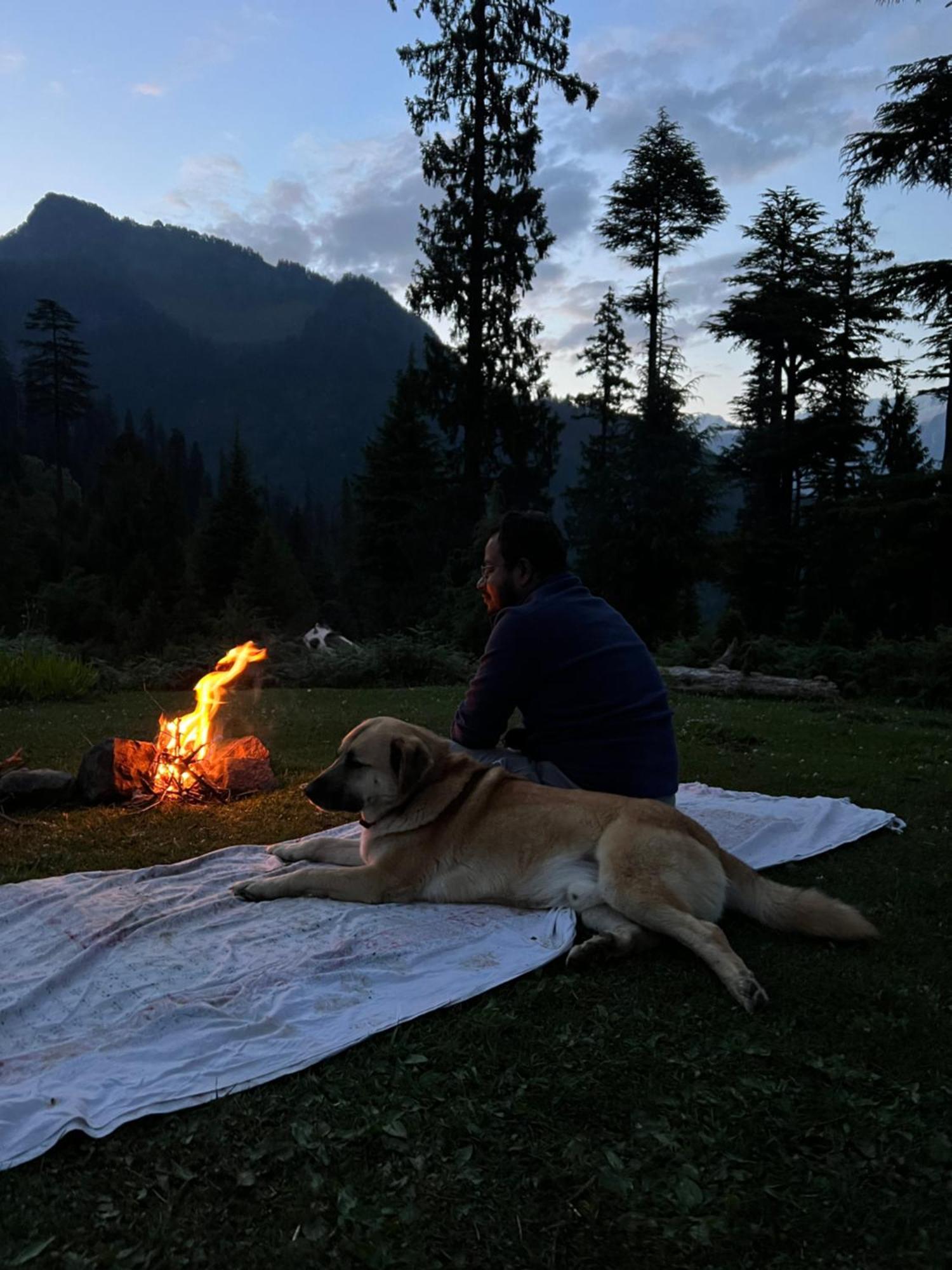 The Homstel Manali Hostel Exterior foto