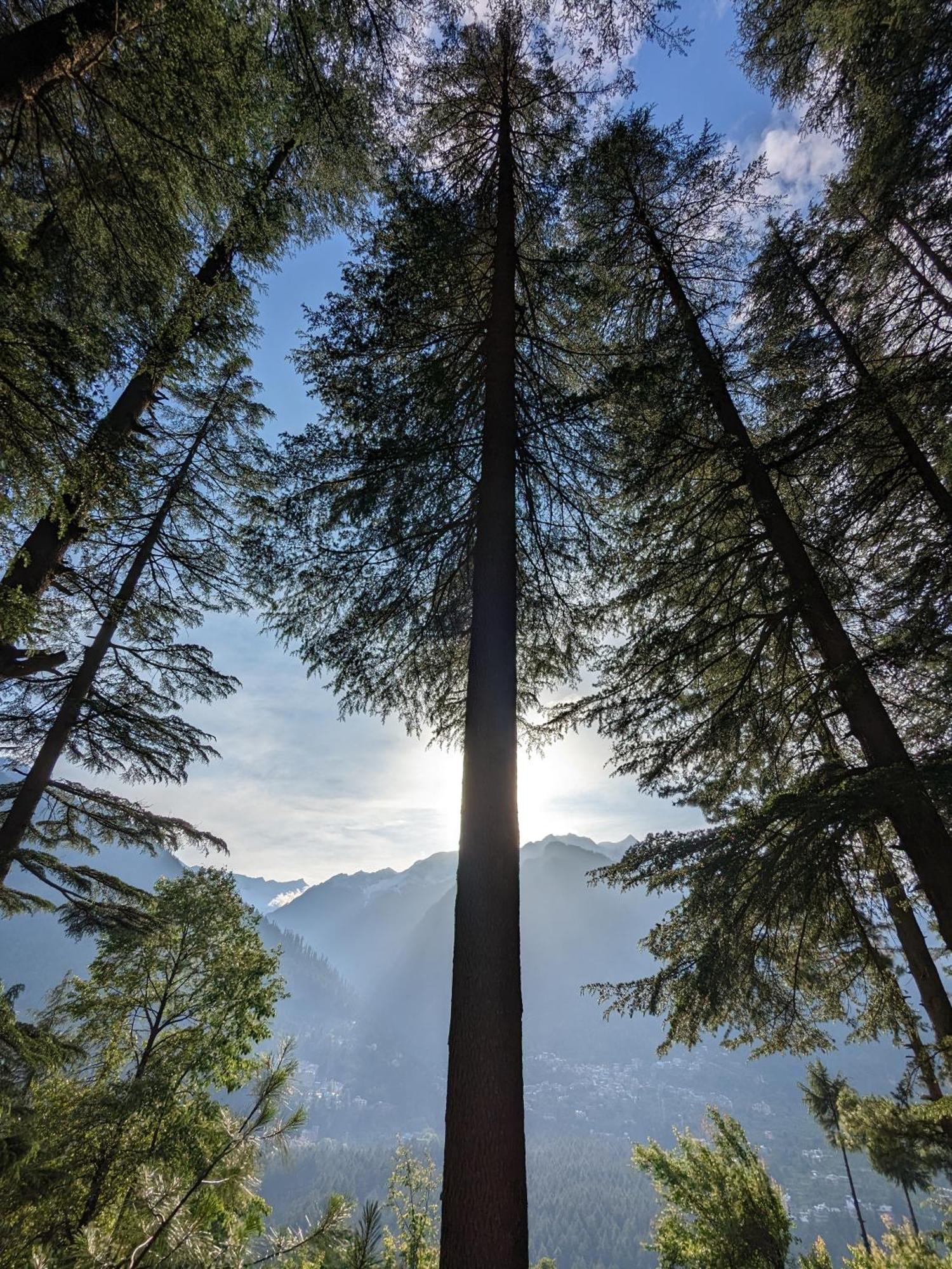 The Homstel Manali Hostel Exterior foto